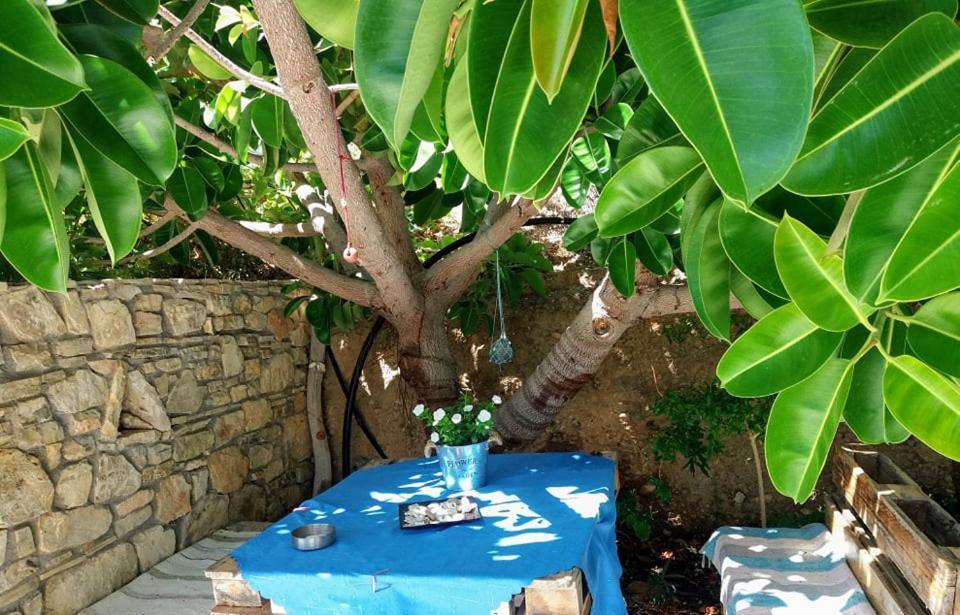 Sun Day Villa Achlia Ngoại thất bức ảnh